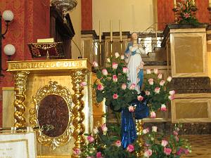 2015 06 06 et 07  APNA A DALIAS ALMERIA  (8)